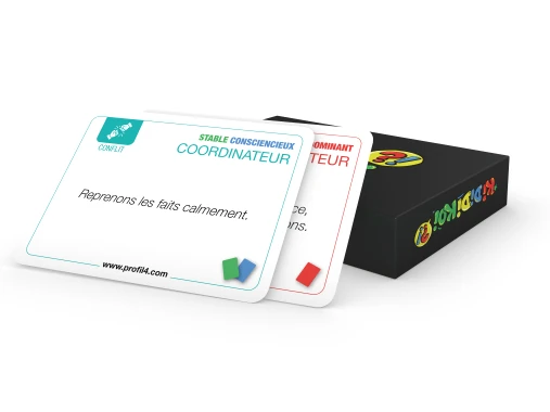 Cartes DISC - KiDiDiKoi